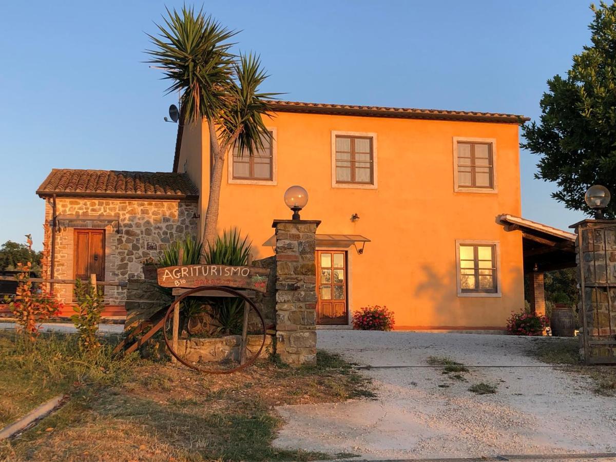 Agriturismo Il Saragiolo Villa Montemerano Luaran gambar